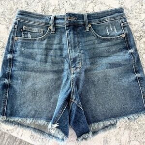 Judy Blue Denim Shorts